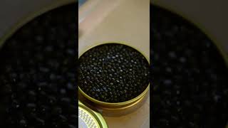 Michelin Star Dish  King Fish and Osciëtra Caviar by Akef [upl. by Sallyanne254]