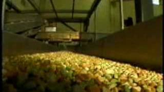 The Slipstick Food Conveyor System by TripleS Dynamics [upl. by Carlock29]