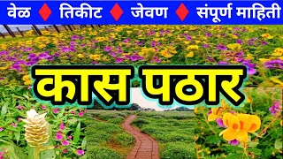 Kaas Pathar 🌸 कास पठार 🌸 Kaas Pathar 2024 🌸Full Information 🌸 kas pathar satara [upl. by Bordie]