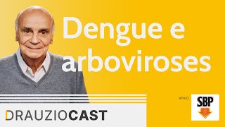 Dengue e arboviroses  DrauzioCast [upl. by Pages744]