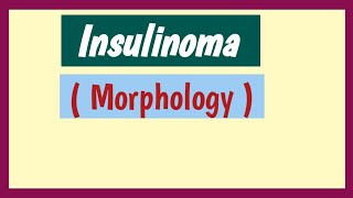 Insulinoma  Morphology [upl. by Anna-Diana]