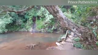 Tarshi water falls in Meghalaya  Fr Prince Puthenchira 🥰🙏 [upl. by Russ]