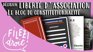 Décision Liberté dAssociation  Le Bloc de Constitutionnalité Conseil constit 16 juillet 1971 [upl. by Netaf89]