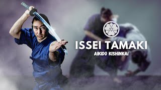 Entretien avec Issei TAMAKI  Aïkido Kishinkaï [upl. by Amla154]