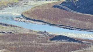 Former Iron Gate Reswvoir above former dam below Camp Creek  Nov 24 2024 [upl. by Feliks196]