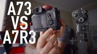 A7III vs A7RIII  Answering Your Question Why I chose the A7R3 over the A73 [upl. by Leifeste]