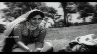 Evergreen Film Song  Aattuvanchi Kadavilvachu  Kayamkulam Kochunni  Malayalam Film Song [upl. by Yaffit508]