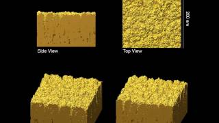 Growth of microstructured gold thin films deltatype microstructure [upl. by Lorusso]