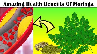 Amazing Health Benefits Of Moringa Drumstick Tree Eat Moringa Everyday To Get These Benefits [upl. by Leira]