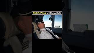 Plane crash in Hindi  Pilot Fall Asleep at facts [upl. by Mitchell83]