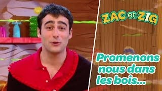 Chanson « Promenonsnous dans les bois » Loup y estu [upl. by Siramad]