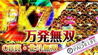 041Kでキリン柄！またザワつかせるPKZ万発無双！CR真・北斗無双＜サミー＞パチンコ実践動画 俺のパチライフ [upl. by Garvin963]