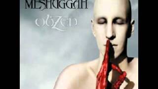 Meshuggah  Bleed 10 Slower [upl. by Ellitnahc]