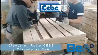 CEBE  Clavadoras de Tambor y Clavos en Rollo Fabricación de Pallets [upl. by Phylis409]