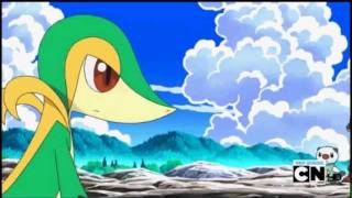 Snivy Minccino and Emolga Amv All About Us [upl. by Lasorella409]