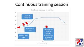 Continuous Training Interpreting a Heart Rate Graph [upl. by Enomes615]