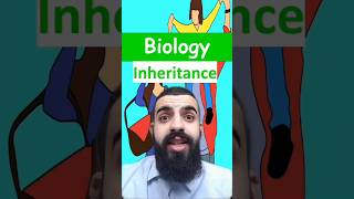 Inheritance  GCSE Science in a minute biology gcsescience science stem school inheritance [upl. by Raquela116]