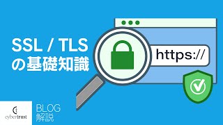 SSLTLS サーバー証明書の基礎知識 [upl. by Crista26]