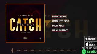 Dammy Krane  Catch Feelings Official Audio [upl. by Consuela]