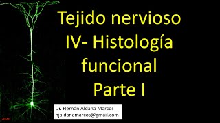 Histología funcional del tejido nervioso Video 1 de 6 Hernán Aldana Marcos [upl. by Pleione]