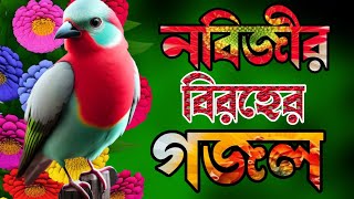 নবীজীর বিরহের নতুন গজল  রাত নিশীথে আইসো নবি  খুবই সুন্দর একটি গজল  New islamic ghazal New gojol [upl. by Xilef]