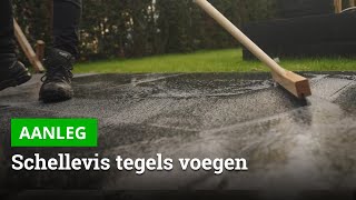 Schellevis tegels invoegen met LM Aqua voegmortel  Bestratingswebnl [upl. by Attalanta646]