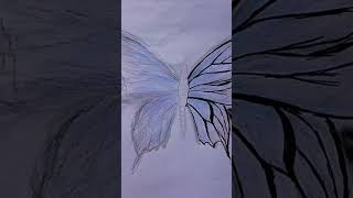 Butterfly Drawing  StepbyStep  with  Easy Drawing  drawing art Butterfly [upl. by Helga]