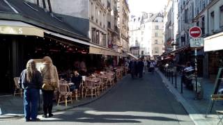 Ambiance sonore  Terrasse de café à Paris Binaural [upl. by Acyre749]