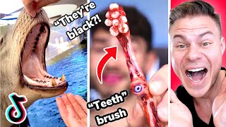 Amazing Tik Toks That Will Make You Want Braces [upl. by Gian506]