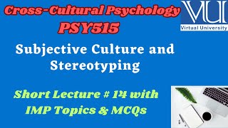 PSY 515 Short Lecture 14  Subjective Culture and Stereotyping  Cross Cultural PSY [upl. by Jobina189]