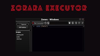 NEW Zorara roblox executor working 2024 [upl. by Vashti503]