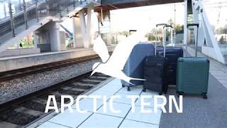 ARCTIC TERN TRAVEL TROLLEY [upl. by Aicats]