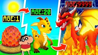 NOOB vs PRO vs HACKER in MY DRAGON TYCOON X with SHINCHAN and CHOP Part 2 [upl. by Meldon]