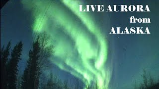 LIVE Alaska Aurora Live Stream Sep Nov 56 2024 [upl. by Evannia]