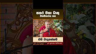 සතර මහා ධාතු මනසිකාරය සහ එහි වැදගත්කම VenKothmalekumarakassapathero paramaththa [upl. by Heger]