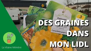 Cest le moment dacheter des graines chez Lidl [upl. by Llerrac]