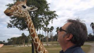 Take a Serengeti Safari with Erin amp Mike at Busch Gardens Tampa Bay [upl. by Maletta]