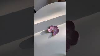 DIY  Un rangement pour clés orchidée 🌸 [upl. by Einaj]