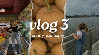 VLOG 3 ДНІ В НЬЮЙОРКУ DOMINO PARK PROSPECT PARK ПРОДУКТОВІ МАГАЗИНИ В США РОЗПАКОВКА [upl. by Attena58]