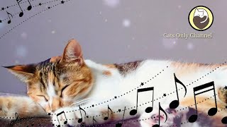 528Hz Healing Music to Calm Your Cat  Stress Relief Relaxation [upl. by Lirrehs]