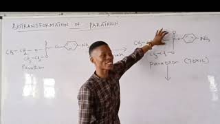 Biotransformation of Parathion [upl. by Bink]