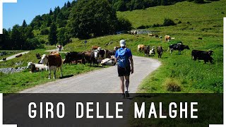 Giro delle Malghe ad Asiago [upl. by Ayhdiv]