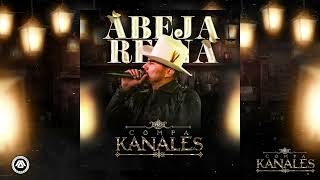 Compa kanales11  Abeja Reina  Video Lyric [upl. by Slaughter]