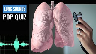 Name that Lung Sound Lung Sound Quiz  NCLEX REVIEW [upl. by Esther]