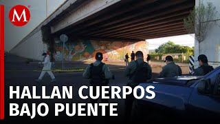 Aparecen seis ejecutados en Culiacán tras ola de violencia en Sinaloa [upl. by Wendall580]