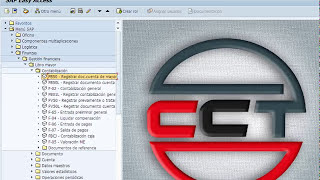 FB50 Modulo FI Contabilidad SAP [upl. by Anaila]
