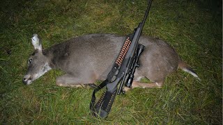 MASSIVE Deer takes bullet like a CHAMP 3006 [upl. by Rikahs]