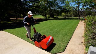 First Reel Mow On My Renovated Lawn [upl. by Einafets]