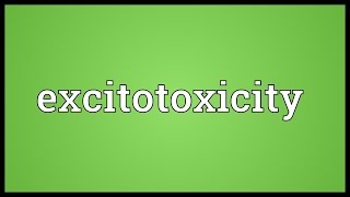 Excitotoxicity Meaning [upl. by Aek]