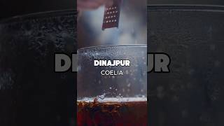 Dinajpur is so enveloping and comforting parfum parfums coeliaparfums dinajpurparfum perfume [upl. by Acirne]